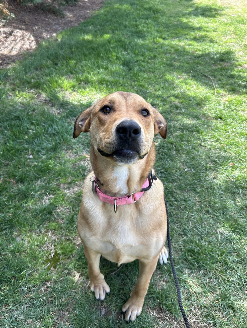 Screenshot 2026-03-14 at 5.07.25 PM.png