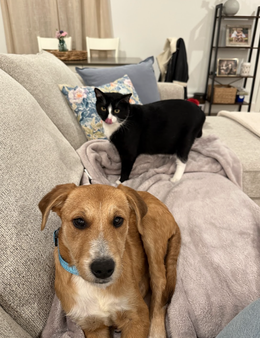 Screenshot 2026-02-27 at 1.05.00 PM.png