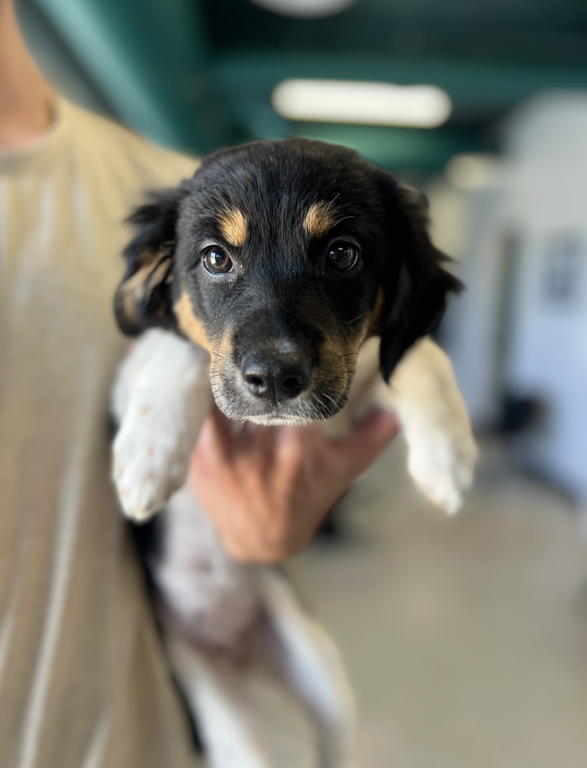 Screenshot 2026-04-23 at 7.15.24 PM.png