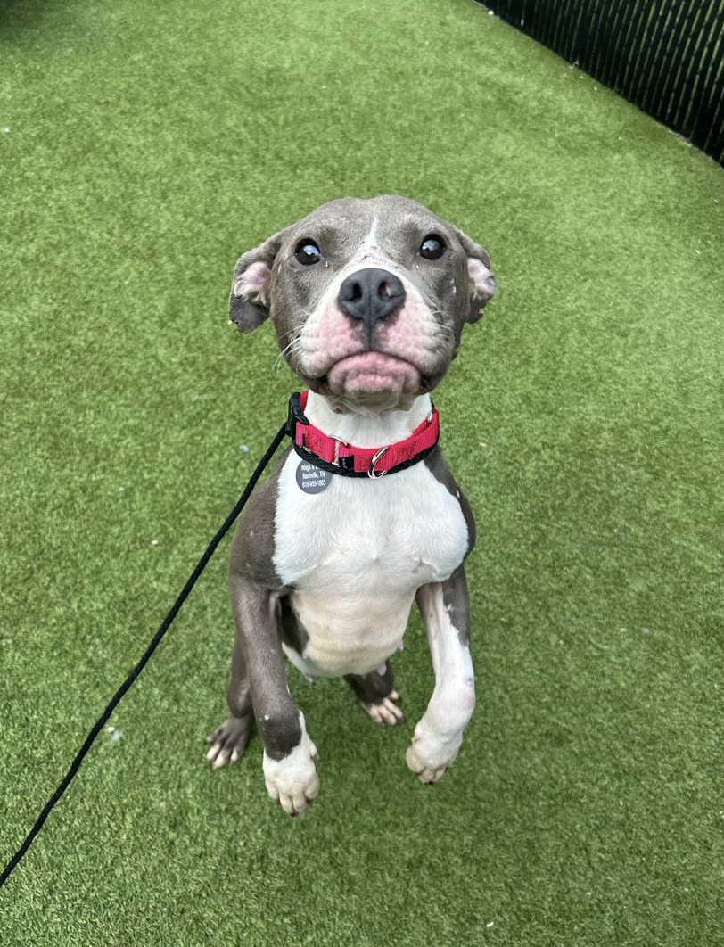 Screenshot 2026-03-11 at 6.51.25 PM.png