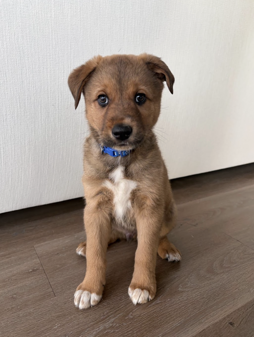 Screenshot 2026-03-05 at 6.17.08 PM.png