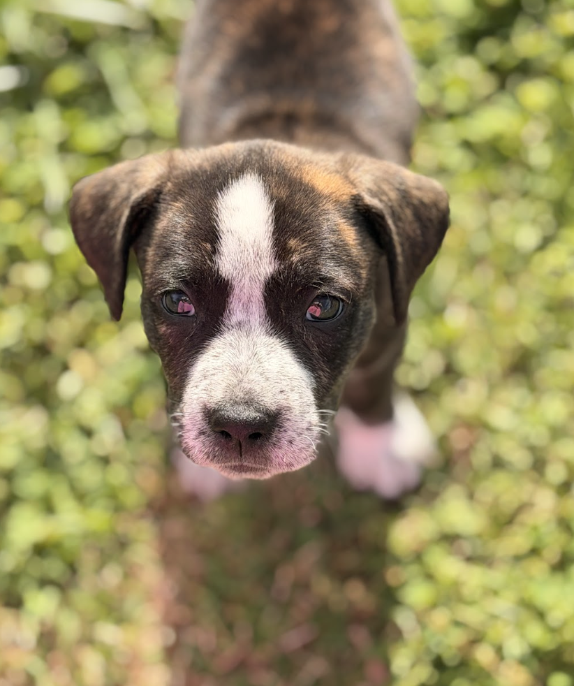 Screenshot 2026-03-27 at 7.55.19 PM.png