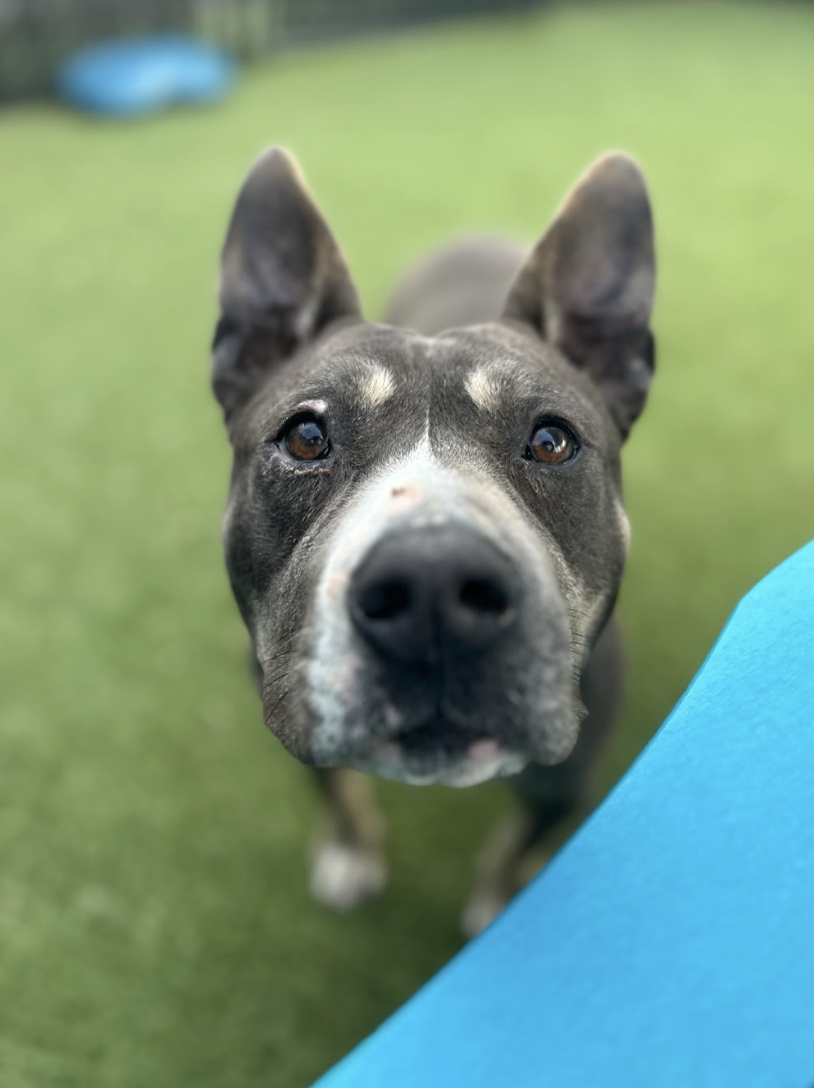 Screenshot 2026-03-26 at 2.16.43 PM.png