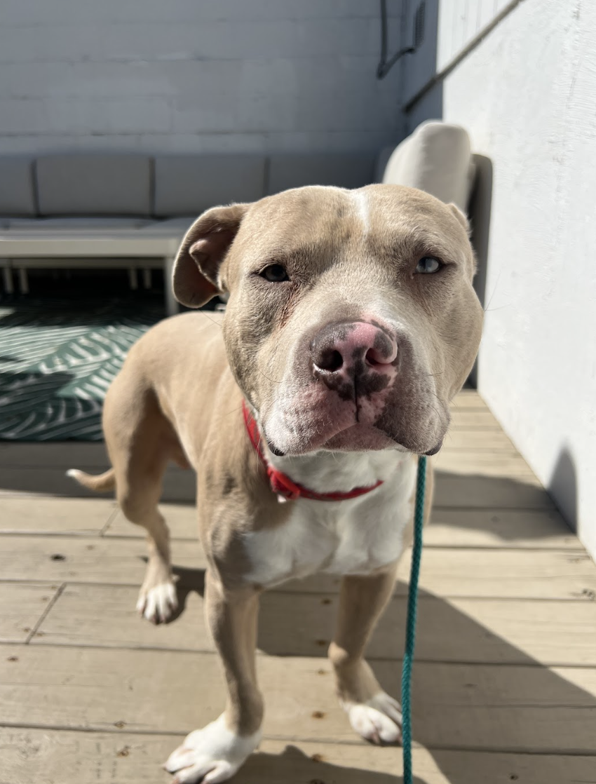 Screenshot 2026-03-24 at 12.42.30 PM.png