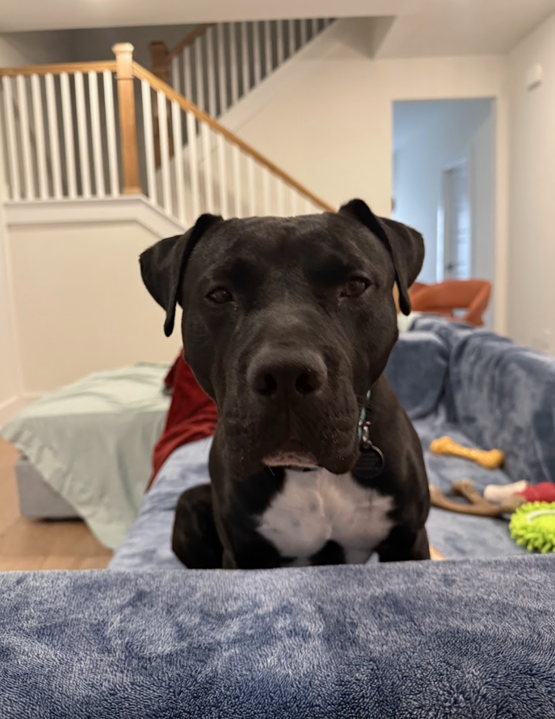 Screenshot 2026-02-26 at 2.17.18 PM.png