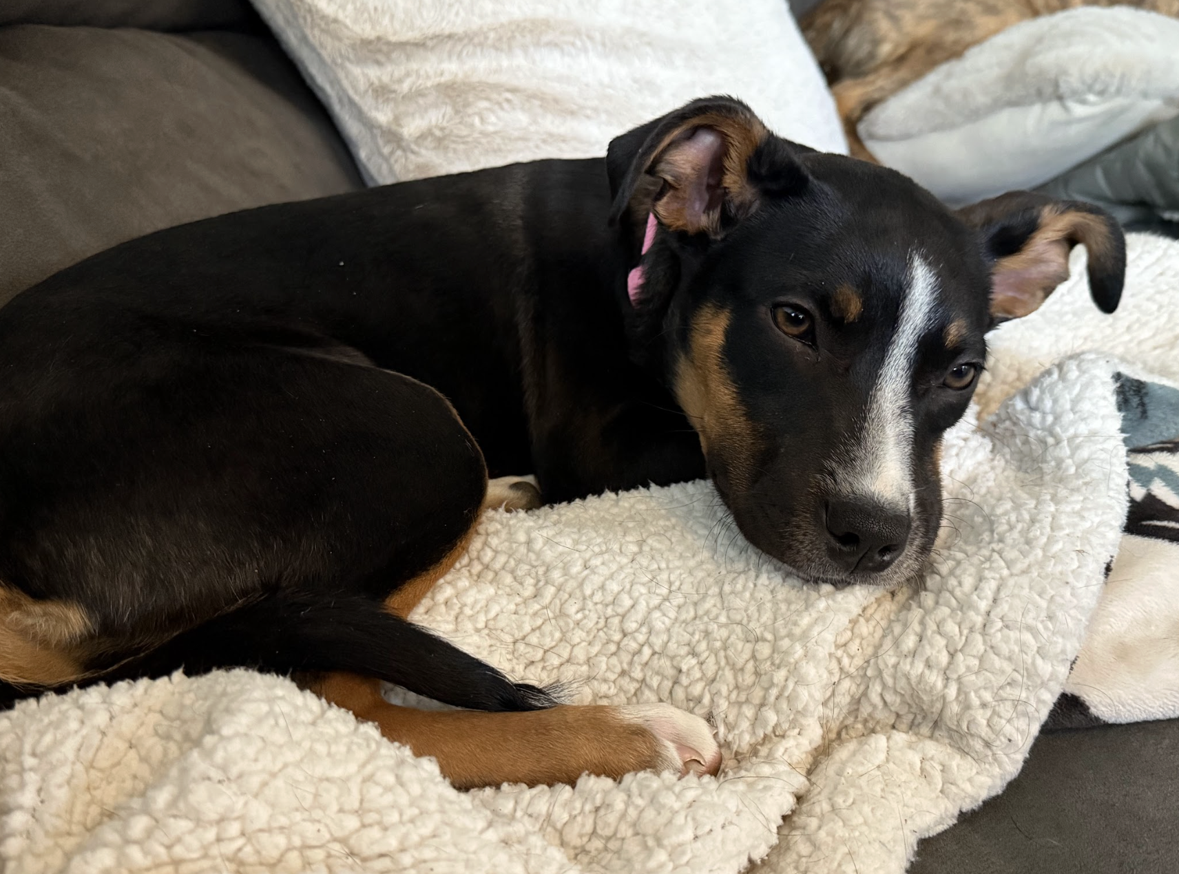 Screenshot 2026-01-04 at 11.16.15 AM.png