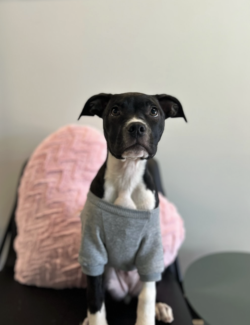 Screenshot 2026-01-13 at 4.00.01 PM.png