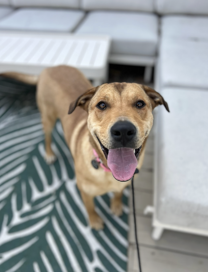 Screenshot 2026-03-14 at 5.08.19 PM.png