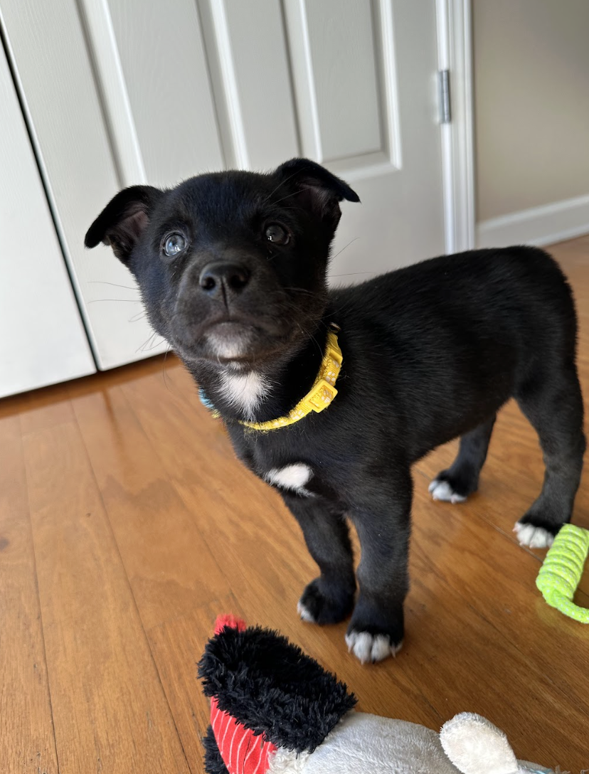 Screenshot 2026-01-15 at 7.50.27 PM.png