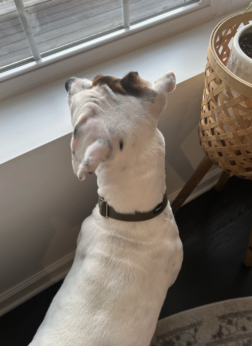 Screenshot 2026-01-14 at 9.19.45 PM.png