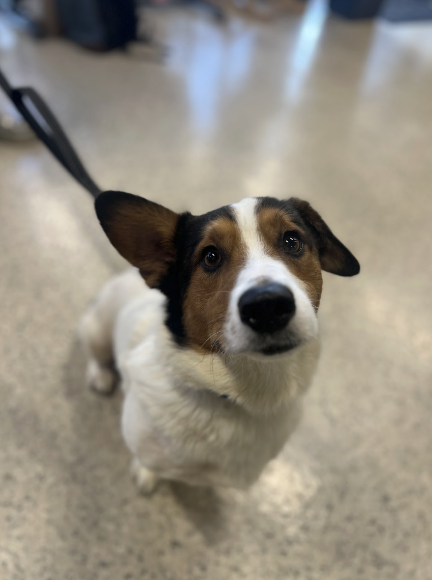 Screenshot 2026-01-06 at 1.28.39 PM.png