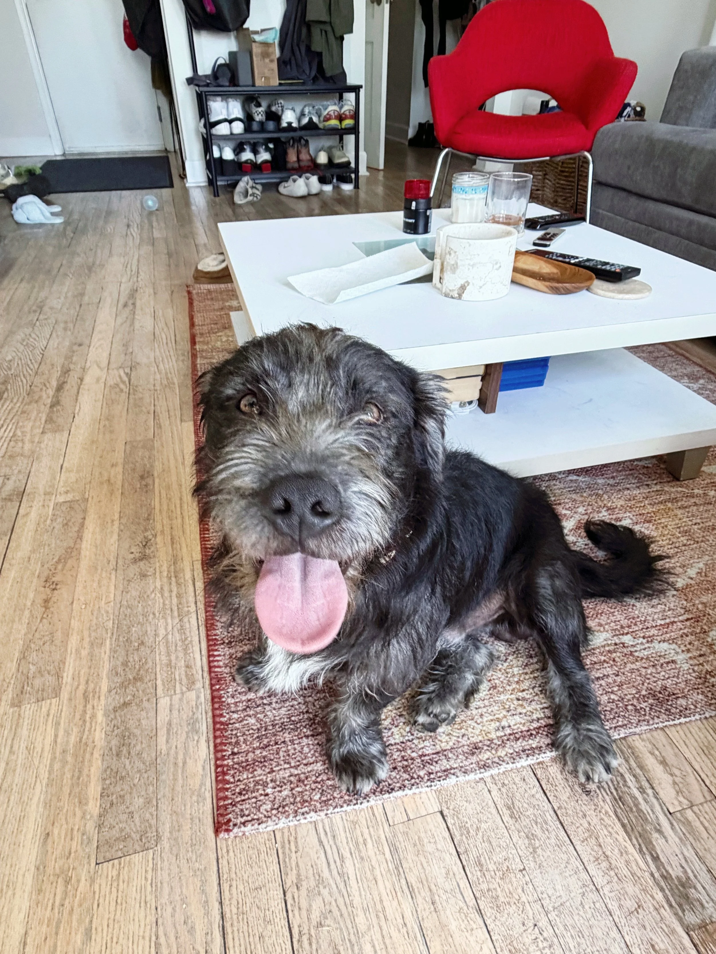ACS_1494.jpg