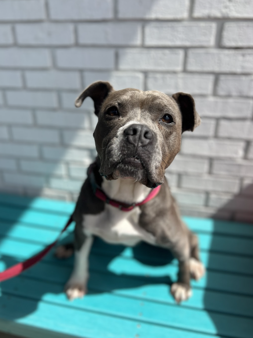 Screenshot 2026-04-22 at 5.47.38 PM.png