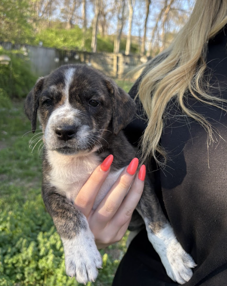 Screenshot 2026-03-27 at 7.59.37 PM.png