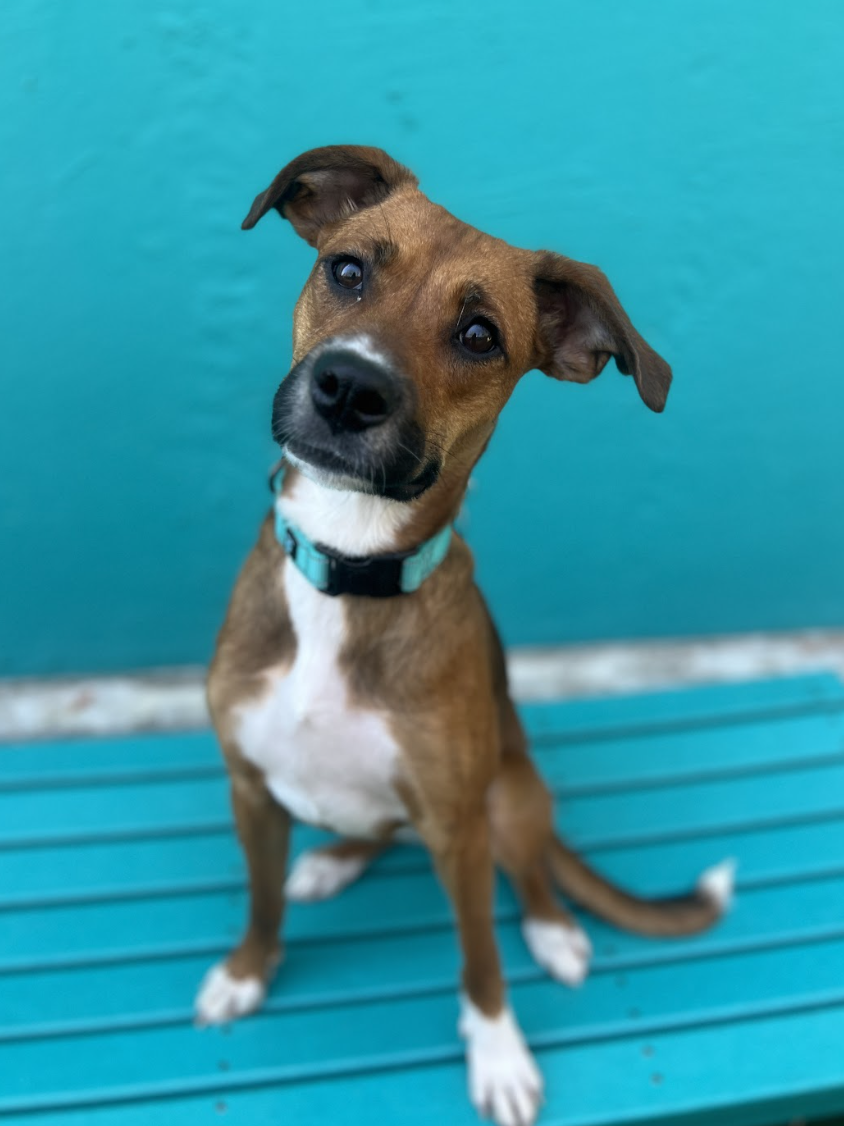 Screenshot 2026-04-13 at 2.56.03 PM.png