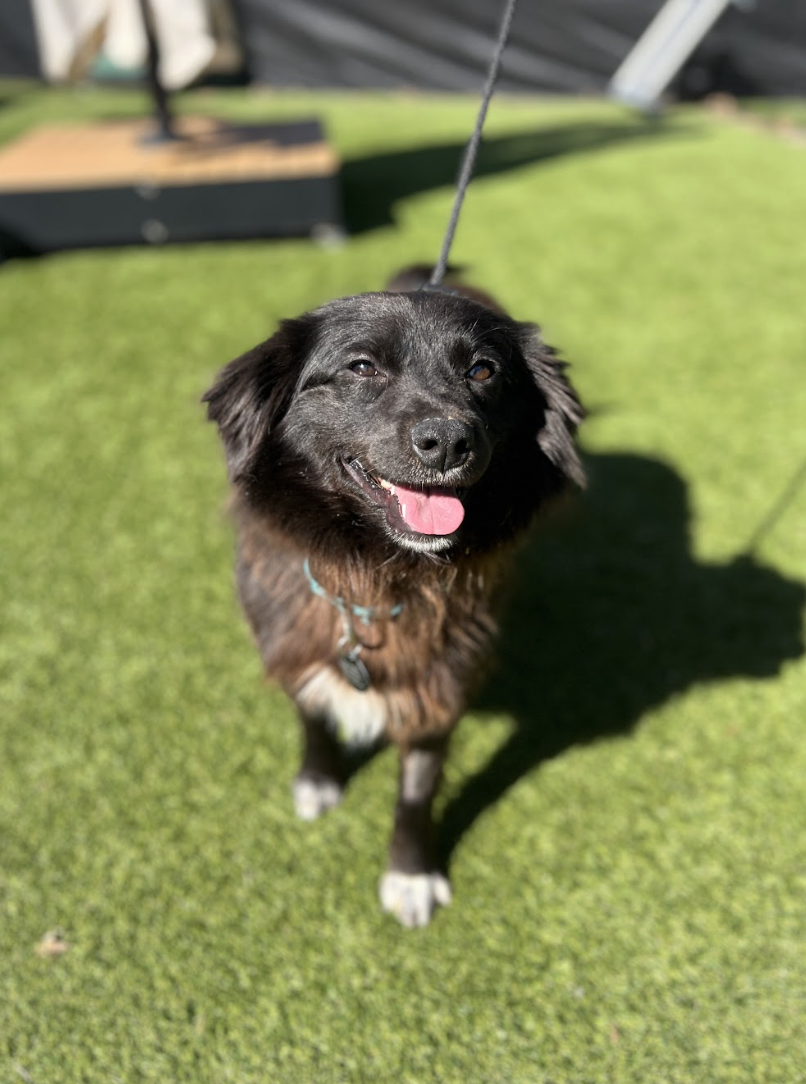 Screenshot 2026-02-12 at 1.57.56 PM.png