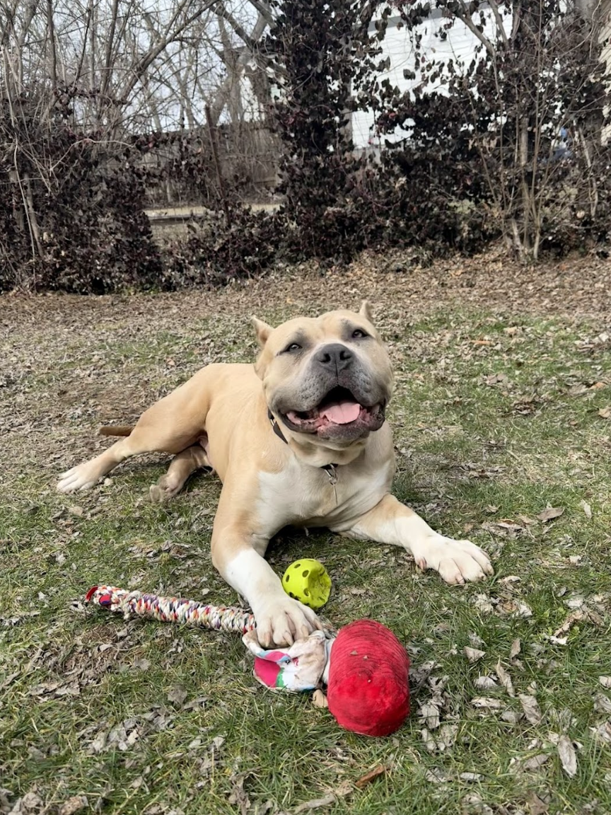 Screenshot 2026-02-27 at 2.36.17 PM.png