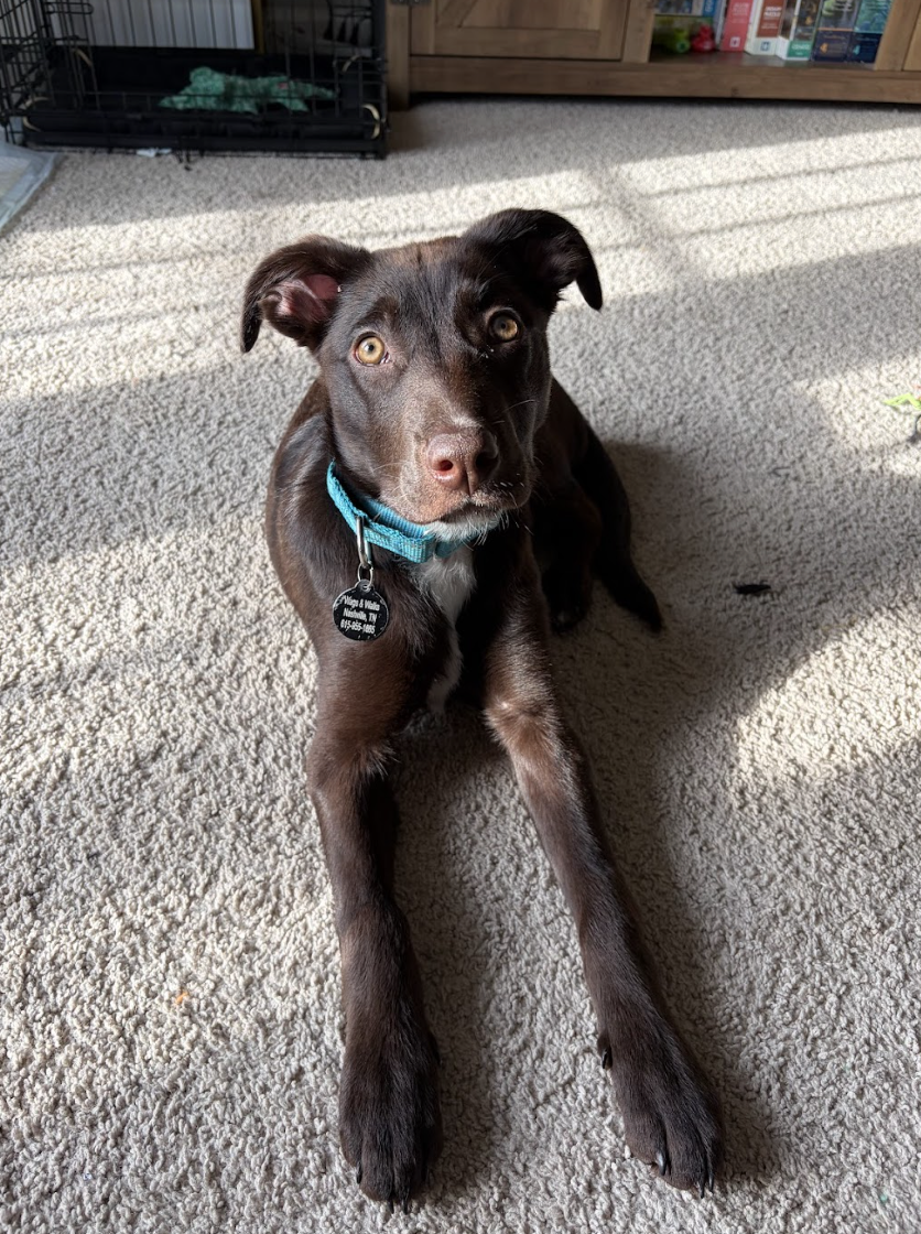 Screenshot 2026-04-03 at 1.38.12 PM.png