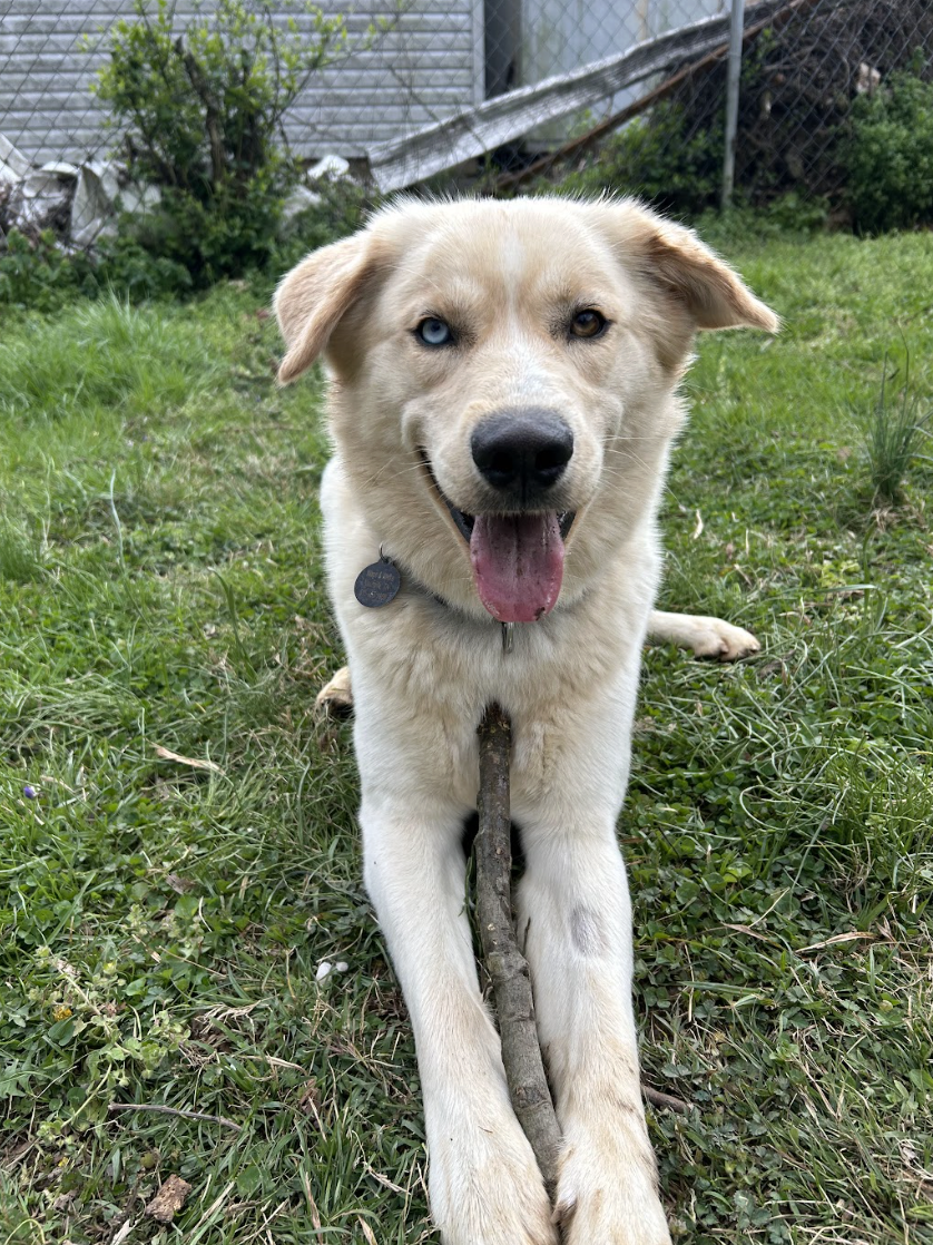 Screenshot 2026-04-22 at 5.22.31 PM.png