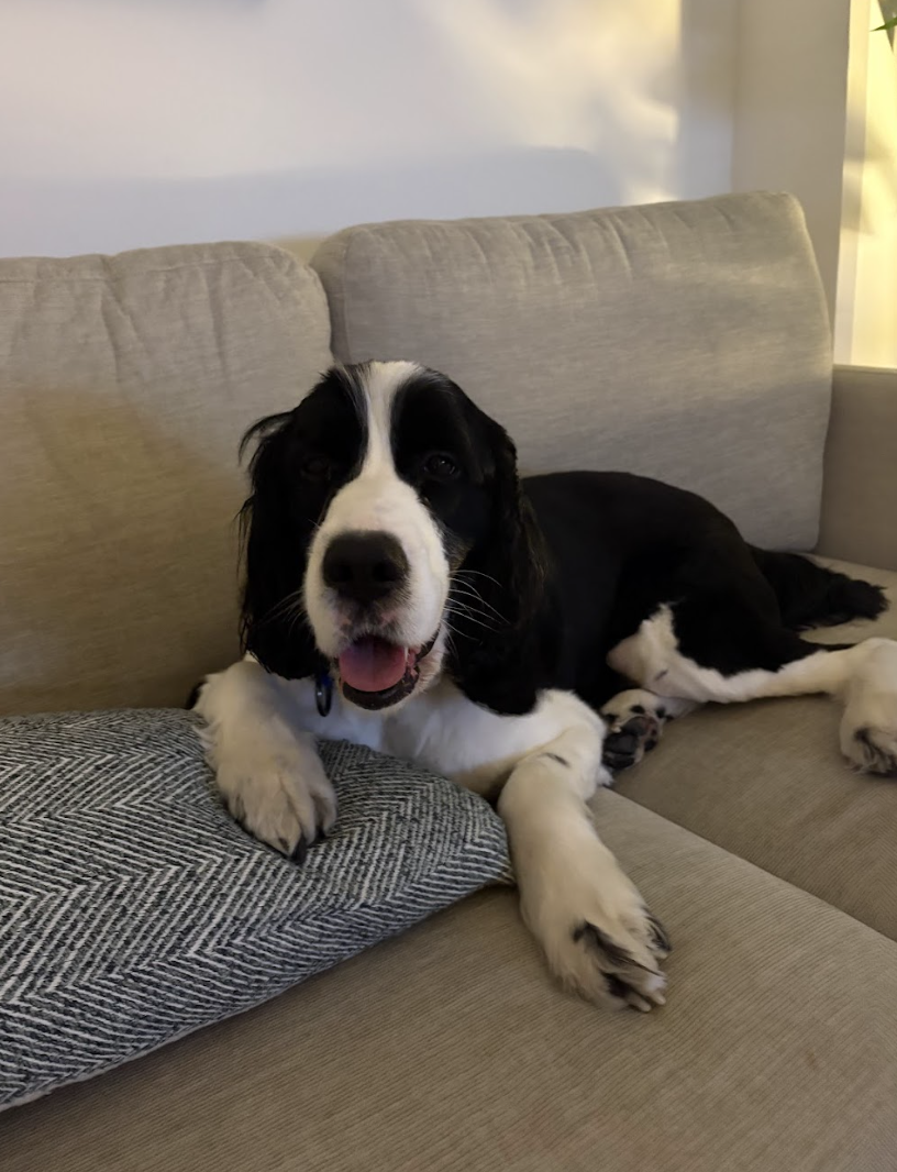 Screenshot 2026-04-06 at 1.16.01 PM.png