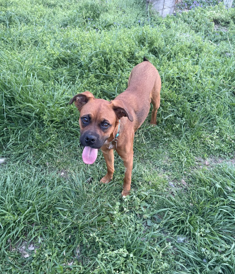 Screenshot 2026-04-22 at 4.04.55 PM.png