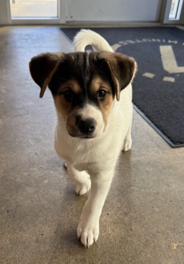 Screenshot 2026-01-14 at 6.33.44 PM.png