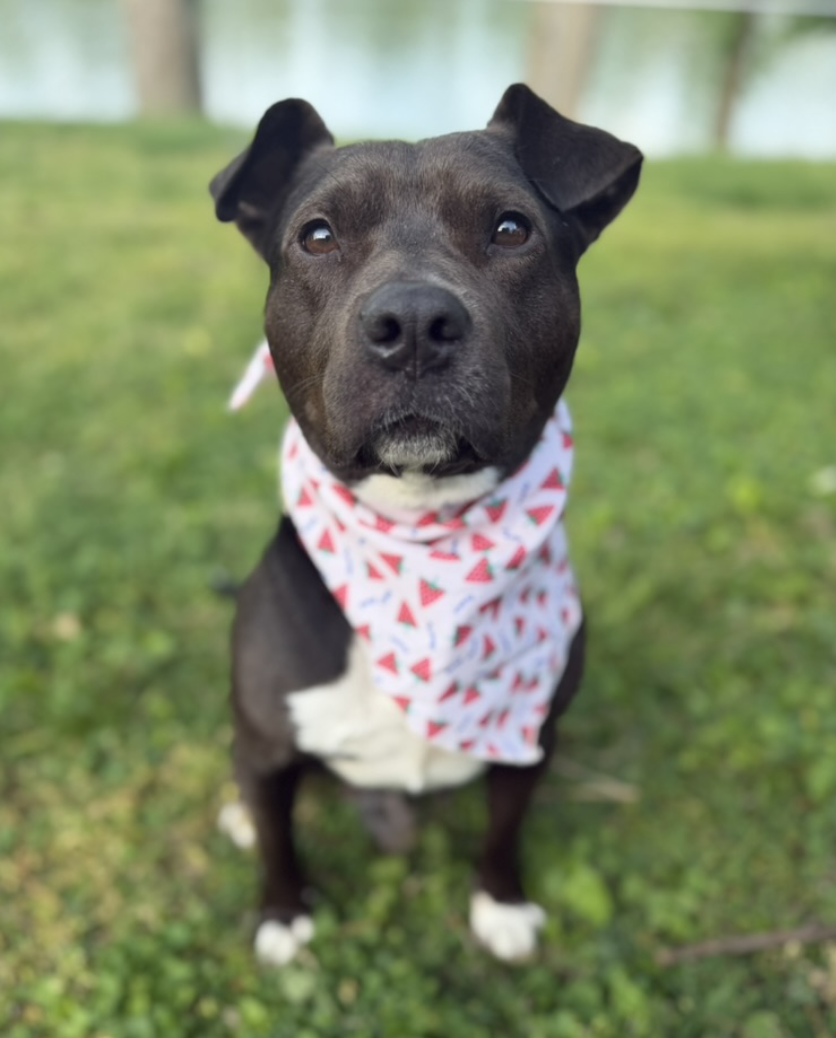 Screenshot 2026-04-22 at 5.53.11 PM.png