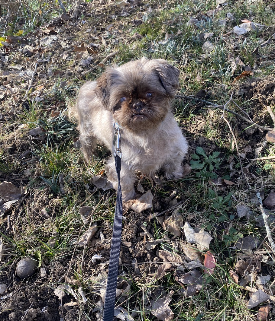 Screenshot 2026-01-26 at 12.23.29 PM.png