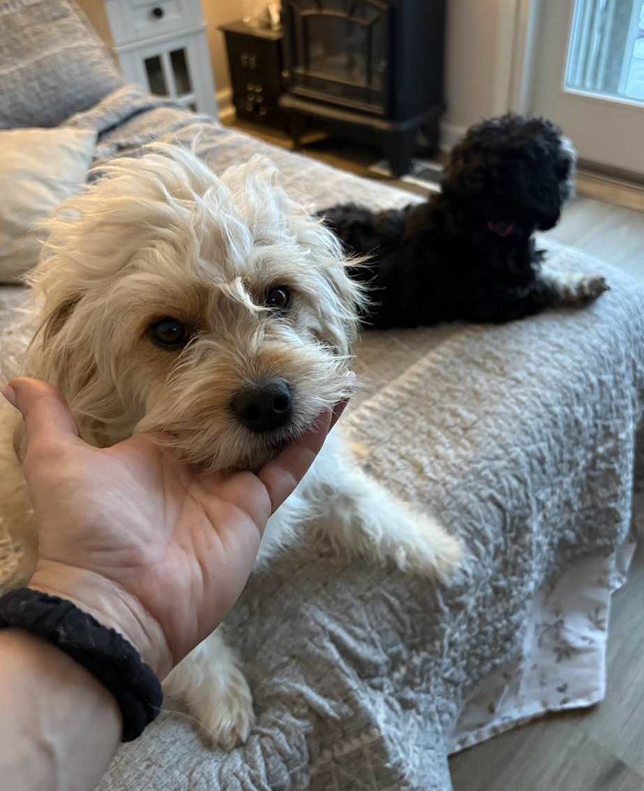 Screenshot 2026-01-25 at 10.20.50 AM.png