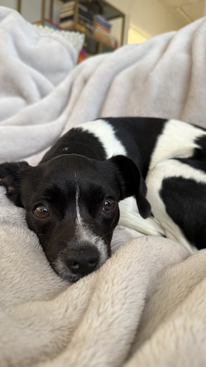 Screenshot 2025-12-30 at 6.29.05 PM.png