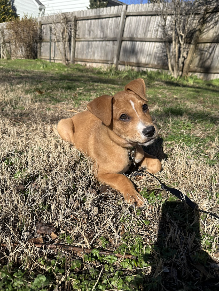 Screenshot 2026-01-14 at 9.31.45 PM.png