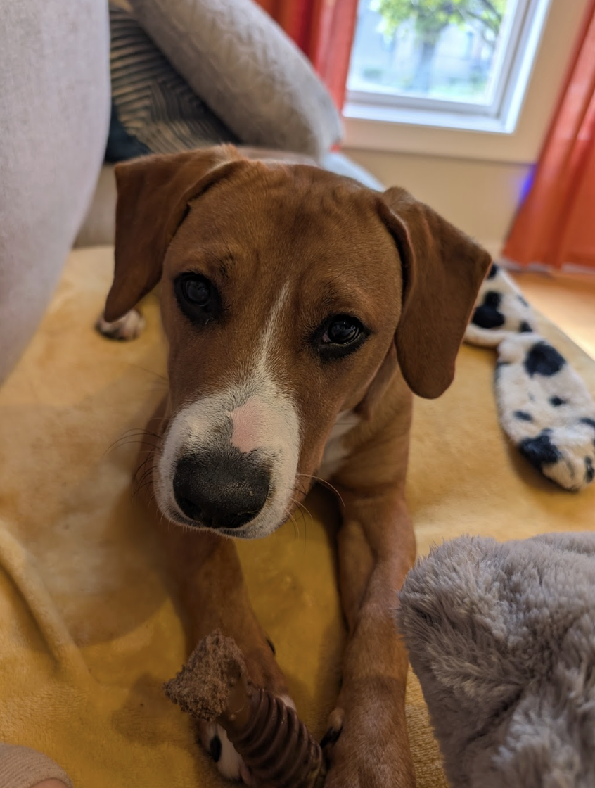 Screenshot 2026-03-20 at 4.11.24 PM.png