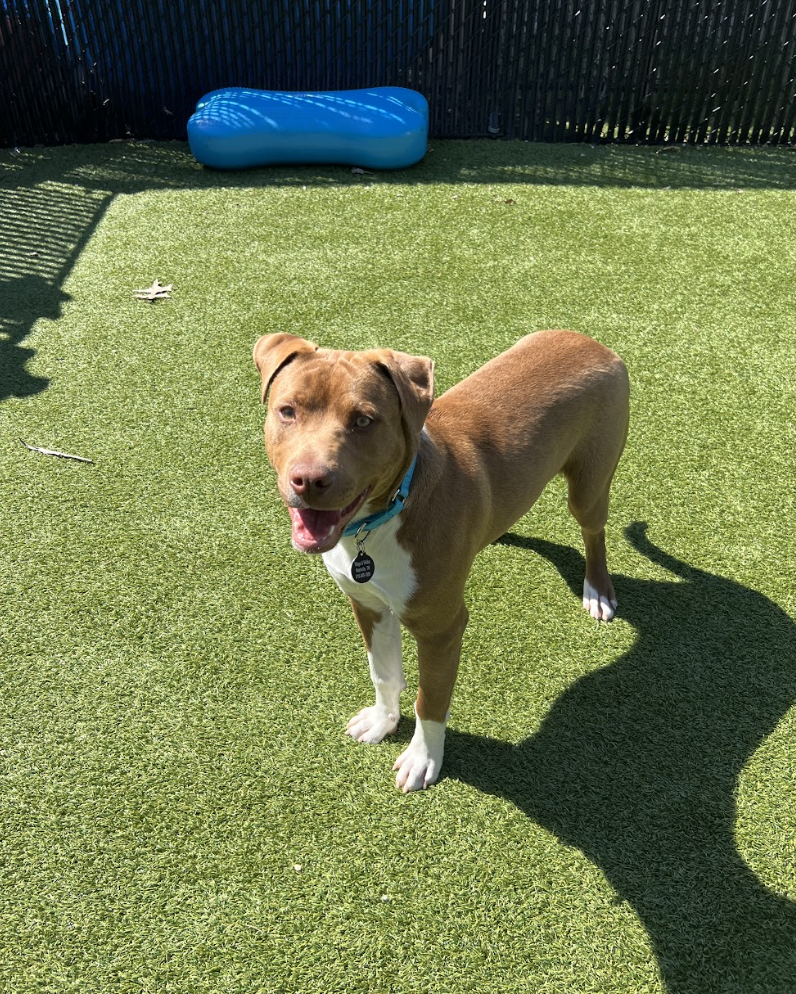 Screenshot 2026-03-20 at 2.31.30 PM.png