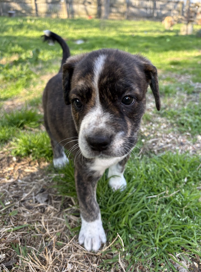 Screenshot 2026-03-27 at 7.59.31 PM.png