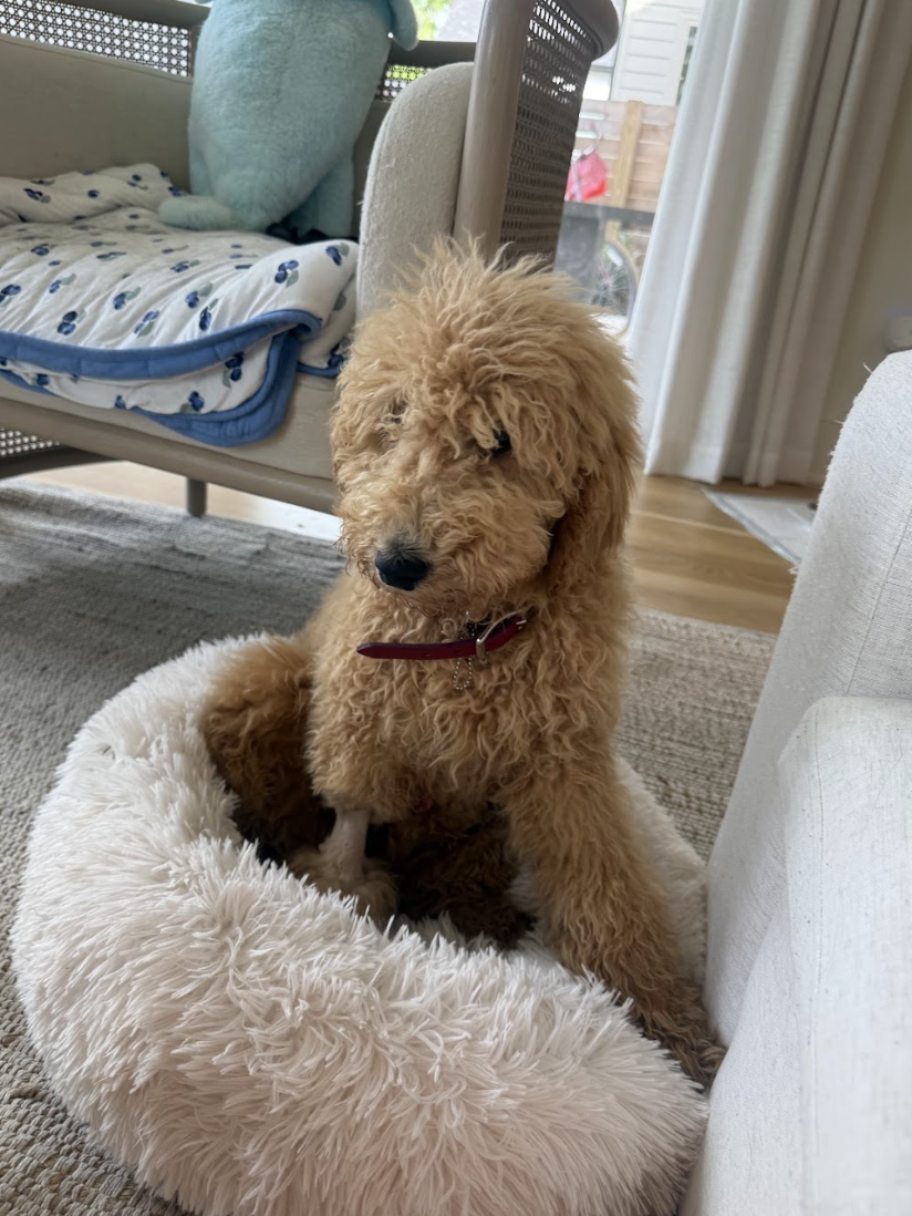 Screenshot 2026-04-27 at 1.12.17 PM.png