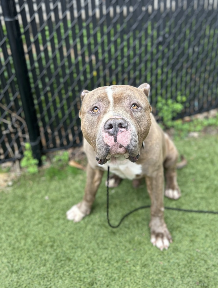 Screenshot 2026-03-11 at 6.47.17 PM.png