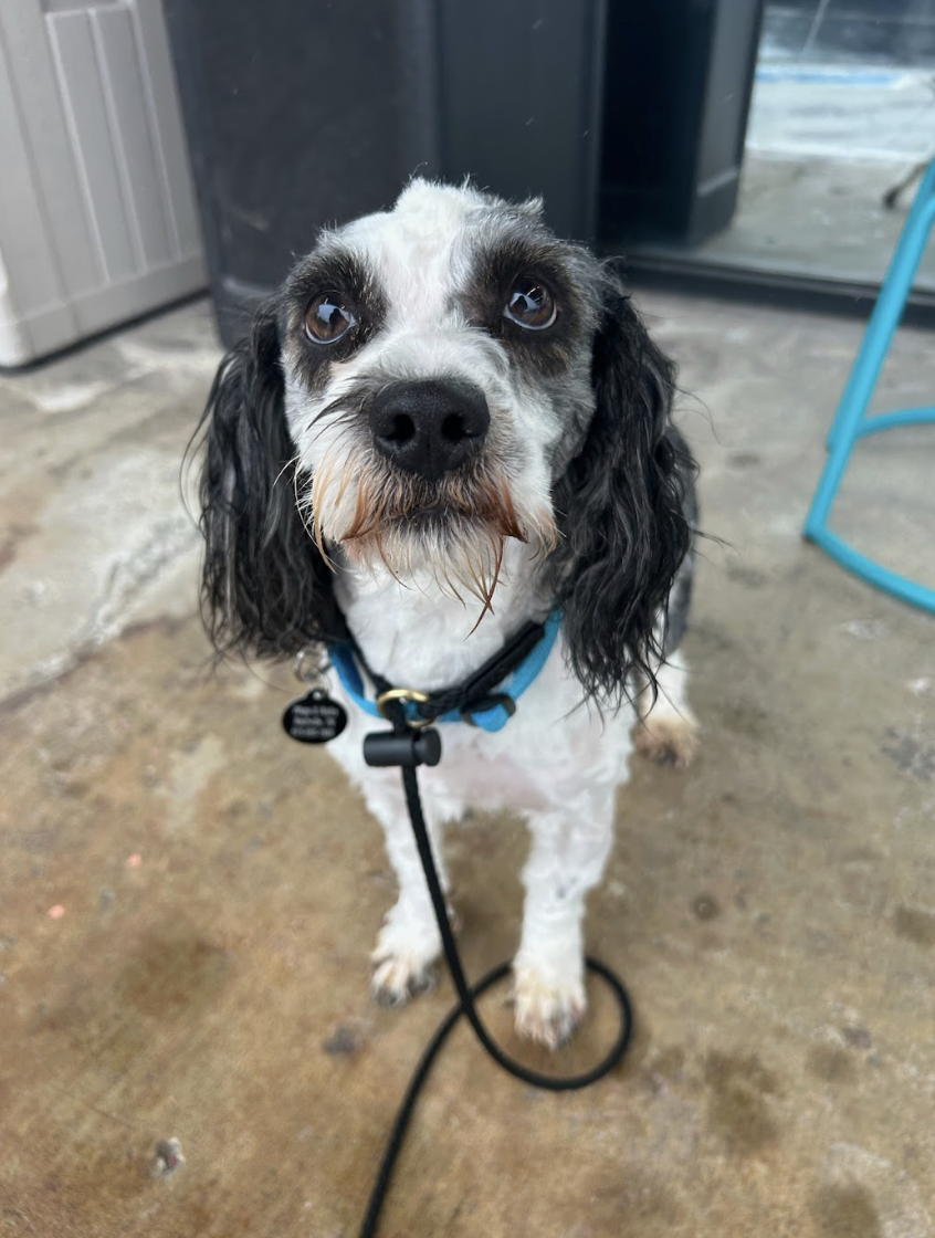 Screenshot 2026-04-01 at 6.14.36 PM.png