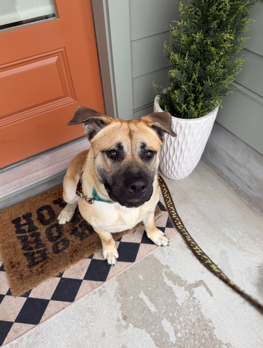 Screenshot 2026-02-27 at 1.53.43 PM.png