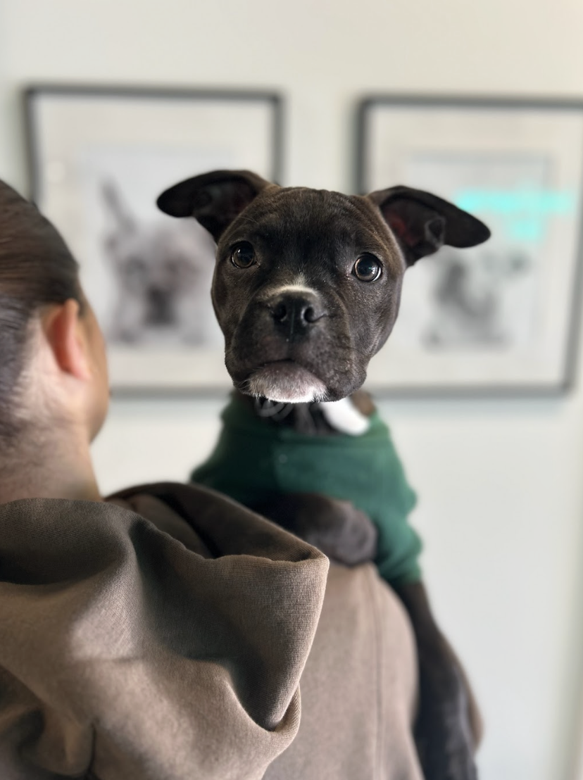 Screenshot 2026-01-13 at 3.59.09 PM.png