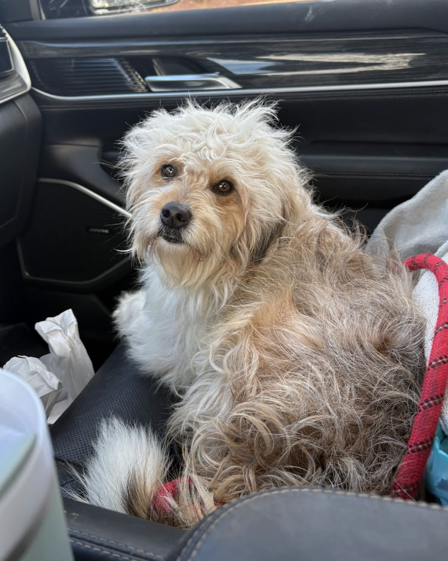 Screenshot 2026-01-25 at 10.20.36 AM.png