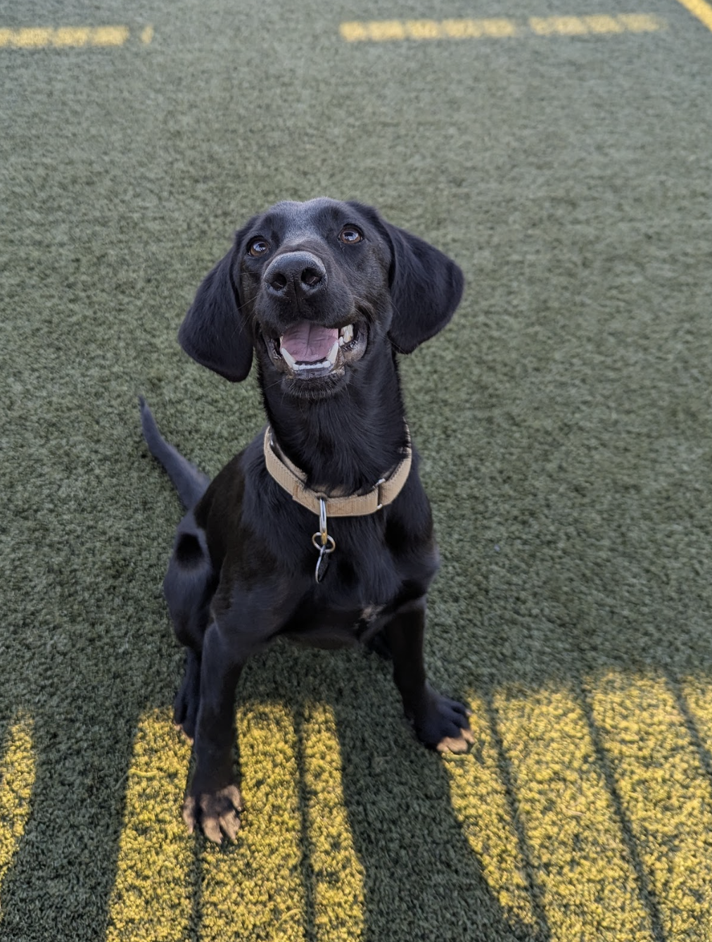 Screenshot 2025-11-18 at 12.52.12 PM.png