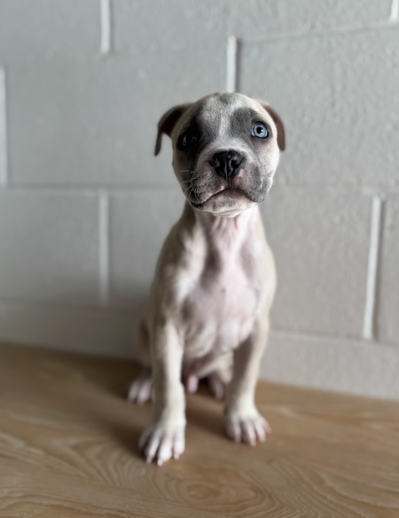 Screenshot 2026-03-14 at 1.34.00 PM.png