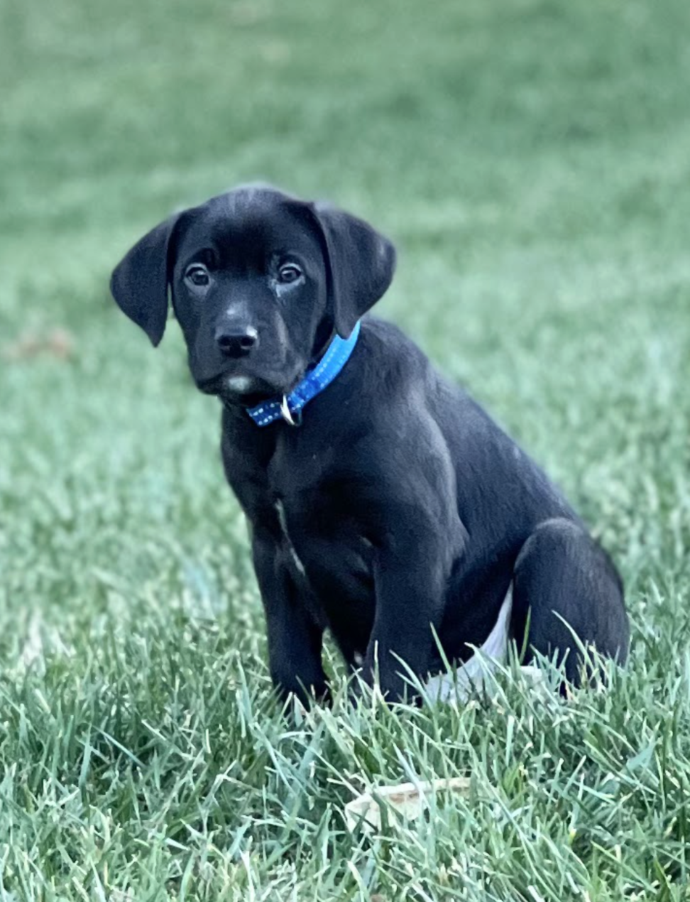 Screenshot 2025-12-31 at 1.22.30 PM.png