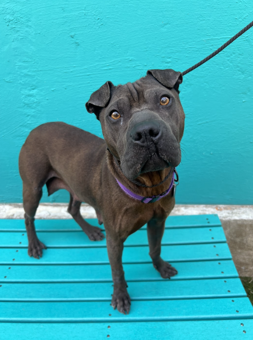 Screenshot 2026-03-26 at 3.24.13 PM.png