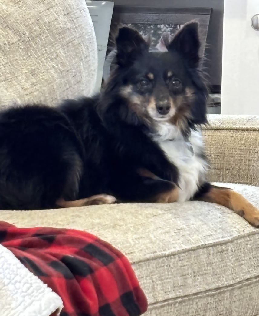 Screenshot 2026-01-24 at 4.46.22 PM.png