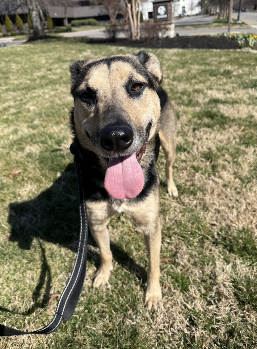 Screenshot 2026-04-14 at 7.26.52 PM.png