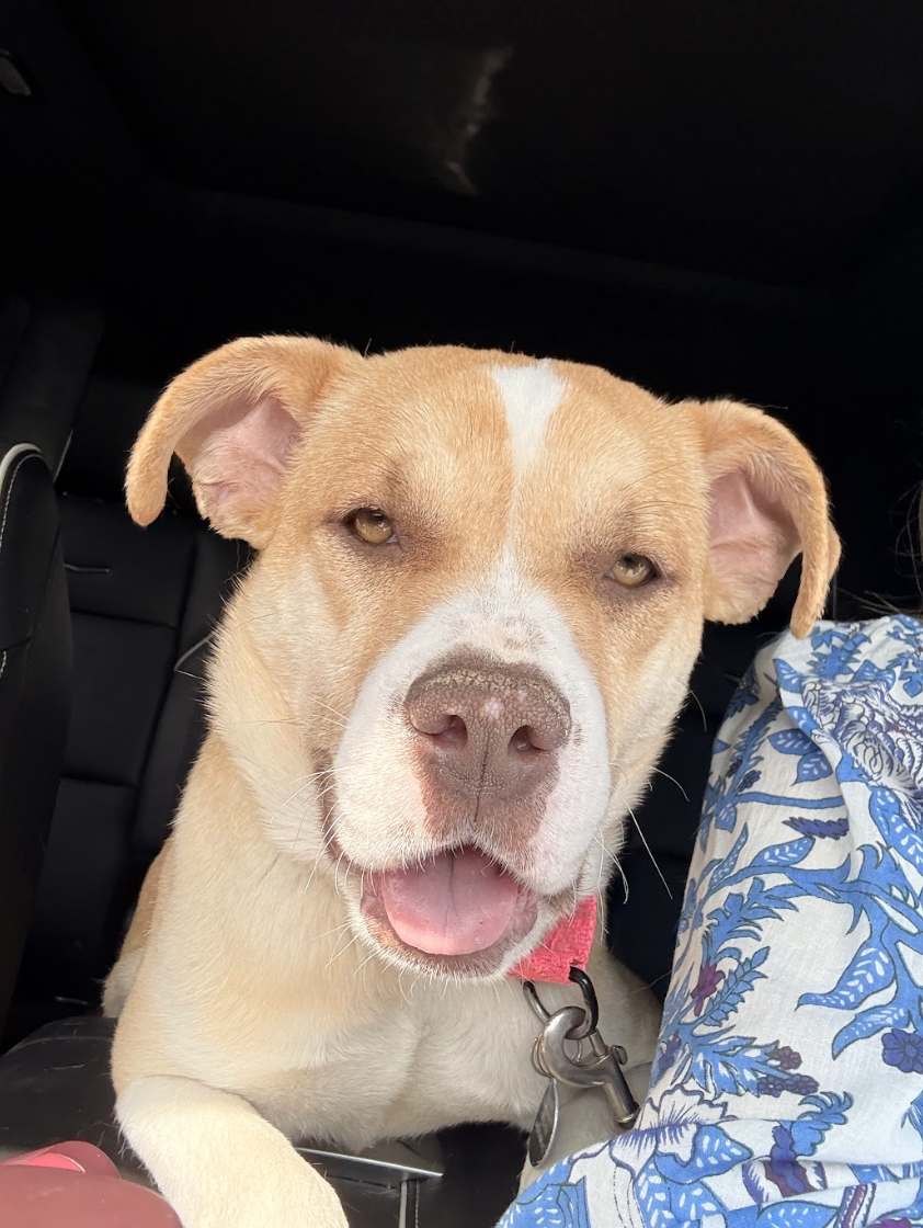 Screenshot 2026-03-18 at 4.28.07 PM.png