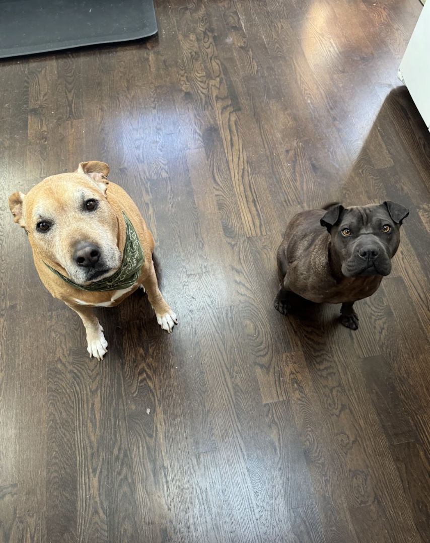 Screenshot 2026-04-22 at 3.05.19 PM.png