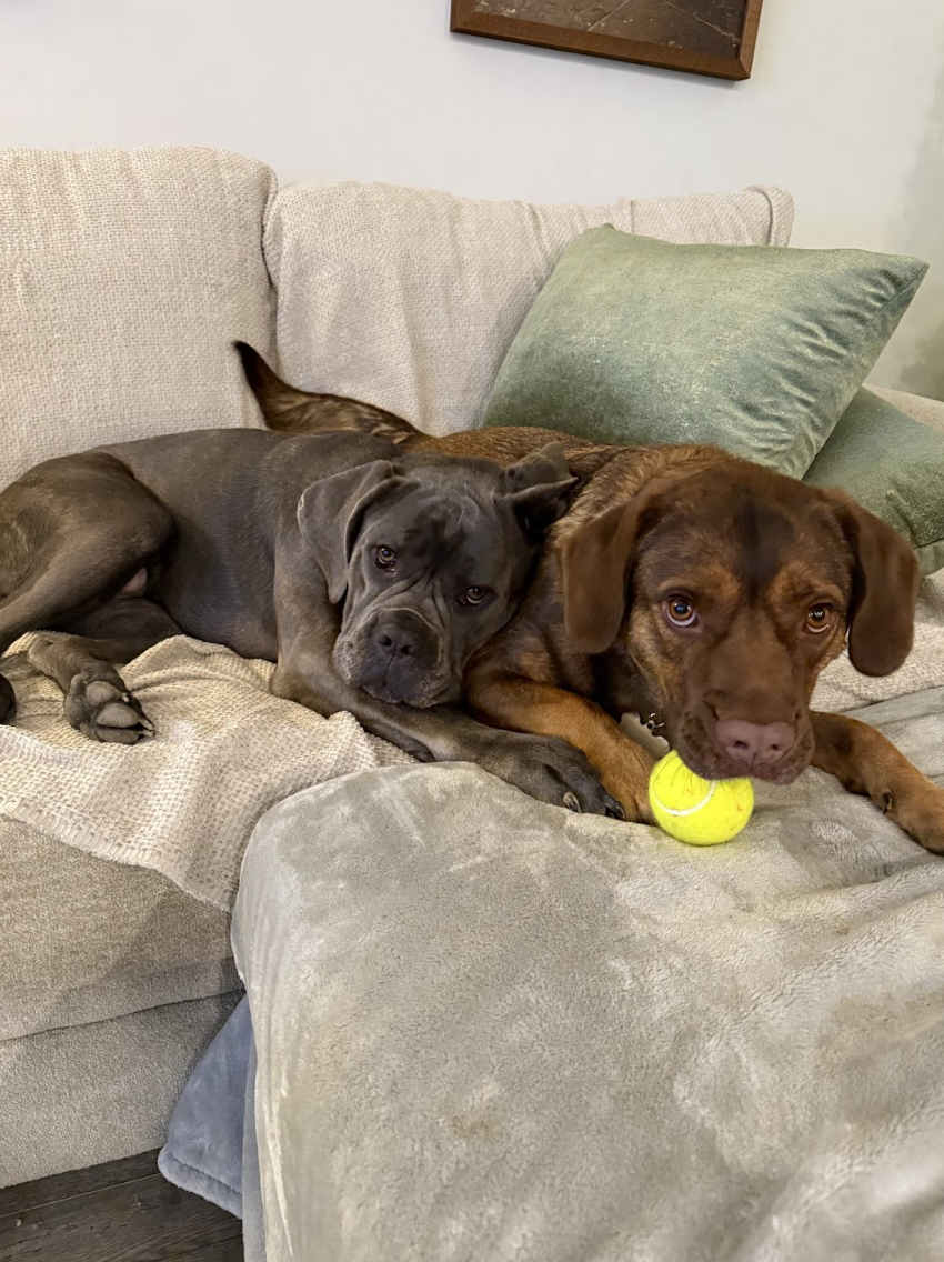 Screenshot 2026-04-22 at 2.57.04 PM.png