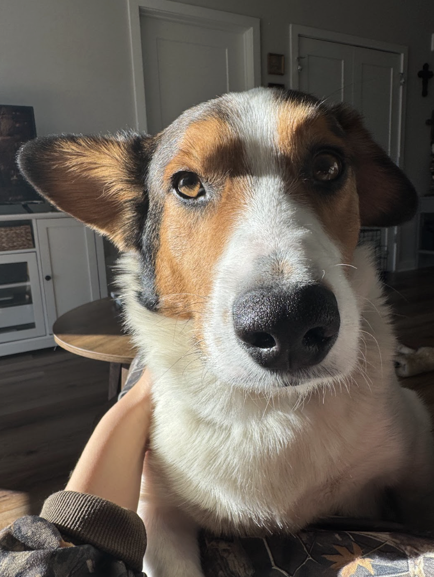 Screenshot 2026-01-06 at 1.28.46 PM.png